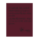DT2 Limited 2LP- Signed (Home Ver.)