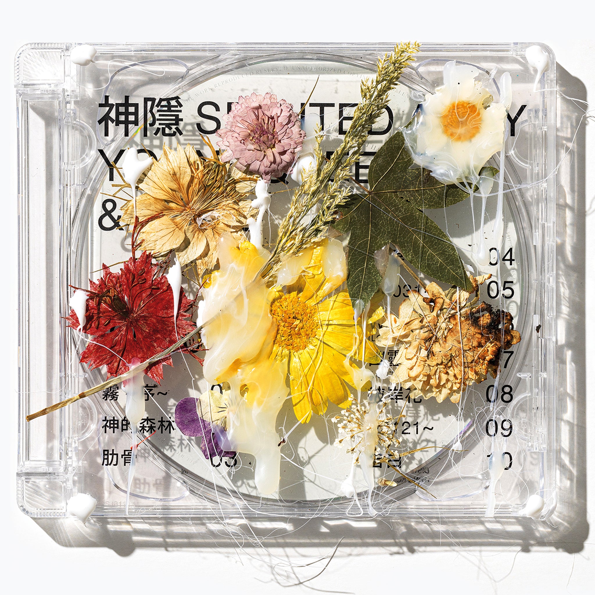 ウェッサイ、チカーノ系CD 大量まとめ 一名限定 🌵 【1点モノ多数!】Sold Outもありますが、90's Style踏襲のG
